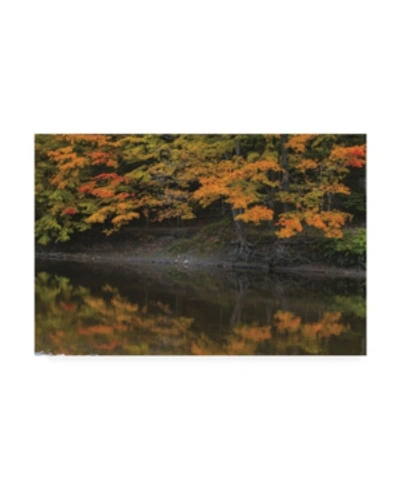 Trademark Global Kurt Shaffer Autumn Reflected Canvas Art In Multi