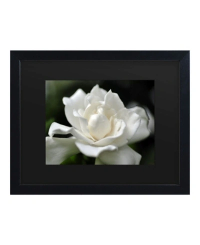 Trademark Global Kurt Shaffer Lovely Gardenia Matted Framed Art In Multi