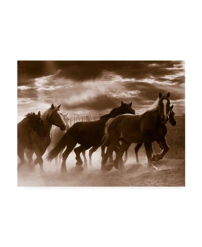 Trademark Global Monte Nagler Running Horses And Sunbeams Rothbury Michigan Canvas Art In Multi