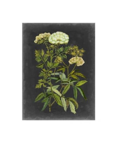 Trademark Global Naomi Mccavitt Bookplate Floral I Canvas Art In Multi