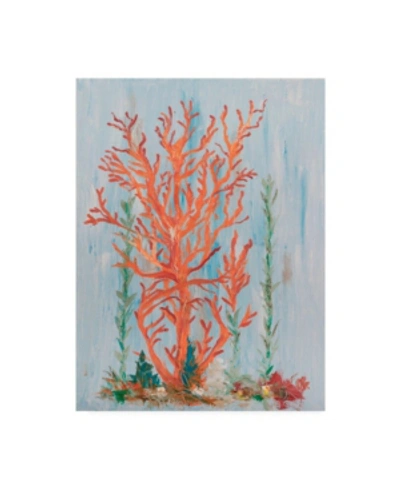 Trademark Global Olivia Brewington Painterly Coral Ii Canvas Art In Multi