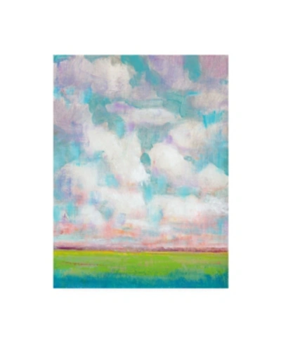 Trademark Global Tim Otoole Clouds In Motion I Canvas Art In Multi