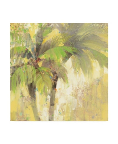 Trademark Global Albena Hristova Breezy Palm I Canvas Art In Multi