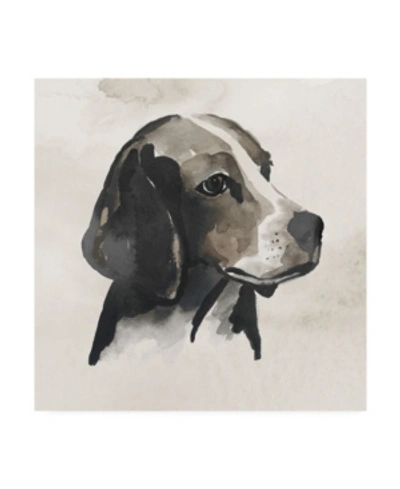 Trademark Global Grace Popp Inked Dogs Ii Canvas Art In Multi