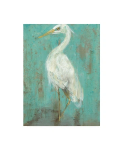 Trademark Global Jennifer Goldberger Sea Spray Heron Ii Canvas Art In Multi