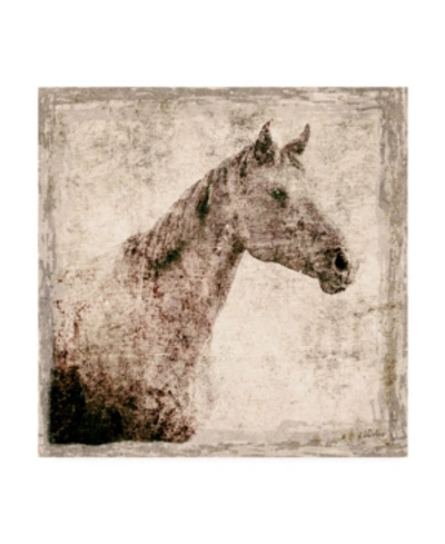 Trademark Global Irena Orlov White Horse I Illustration Canvas Art In Multi