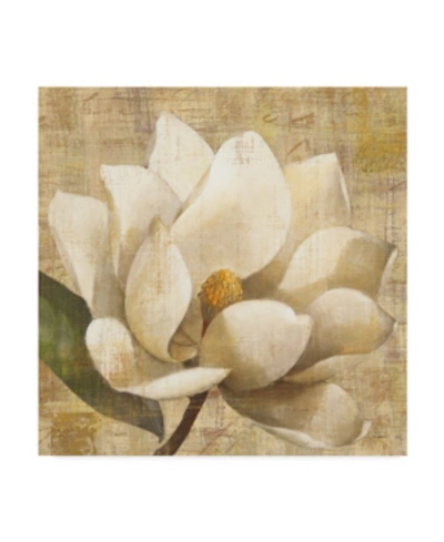 Trademark Global Albena Hristova Magnolia Blossom On Script Canvas Art In Multi