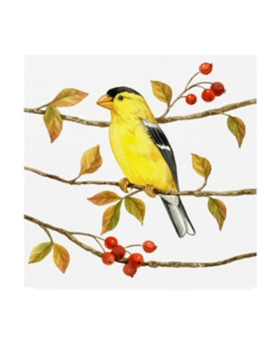 Trademark Global Jane Maday Birds And Berries Ii Canvas Art In Multi