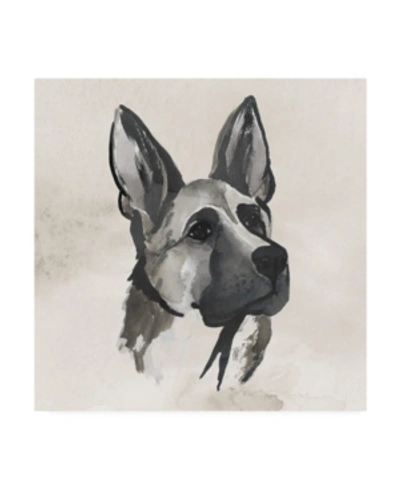 Trademark Global Grace Popp Inked Dogs Iv Canvas Art In Multi