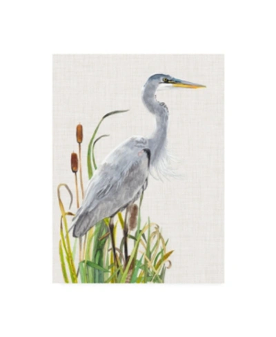 Trademark Global Naomi Mccavitt Water Birds And Cattails I Canvas Art In Multi