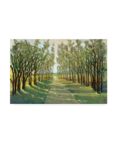 Trademark Global Tim Otoole Forest Path Canvas Art In Multi