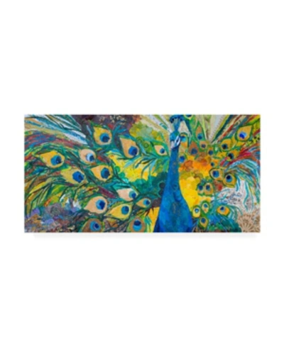 Trademark Global Elizabeth St. Hilaire Percy Peacock I Canvas Art In Multi