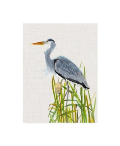 Trademark Global Naomi Mccavitt Water Birds And Cattails Ii Canvas Art In Multi