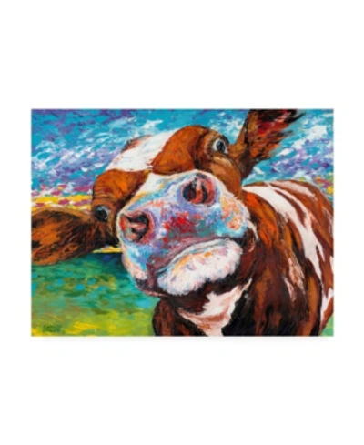 Trademark Global Carolee Vitaletti Curious Cow I Canvas Art In Multi