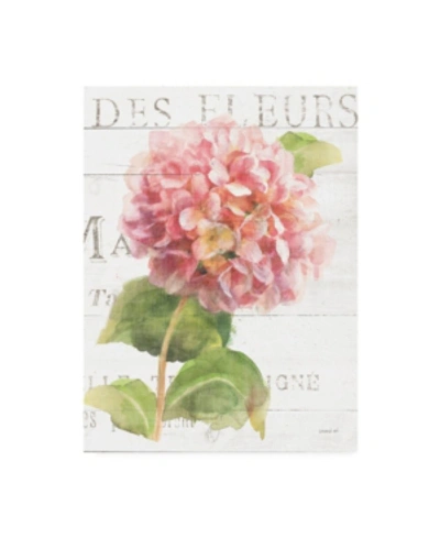 Trademark Global Danhui Nai Maison Des Fleurs Vii Canvas Art In Multi