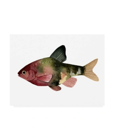 Trademark Global Emma Scarvey Rainbow Fish Iv Canvas Art In Multi