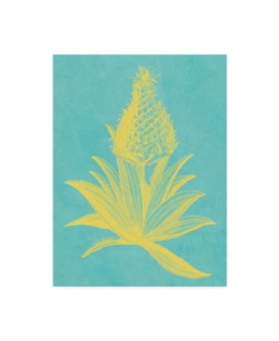 Trademark Global Vision Studio Pineapple Frais I Canvas Art In Multi