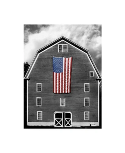 Trademark Global James Mcloughlin Flags Of Our Farmers Xix Canvas Art In Multi