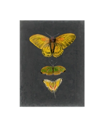 Trademark Global Naomi Mccavitt Butterflies On Slate I Canvas Art In Multi