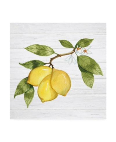 Trademark Global Kathleen Parr Mckenna Citrus Garden I Shiplap Canvas Art In Multi