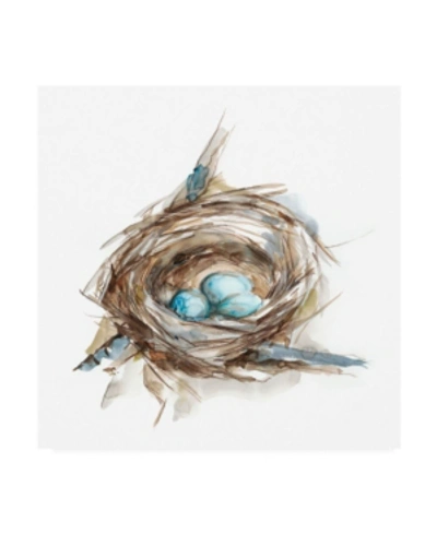 Trademark Global Ethan Harper Bird Nest Study Ii Canvas Art In Multi