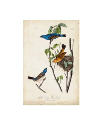 Trademark Global John James Audubon Blue Song Grosbeak Canvas Art In Multi