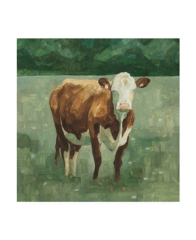 Trademark Global Emma Scarvey Hereford Cattle I Canvas Art In Multi