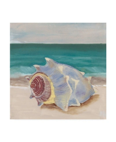 Trademark Global Alicia Ludwig She Sells Seashells Frame I Canvas Art In Multi