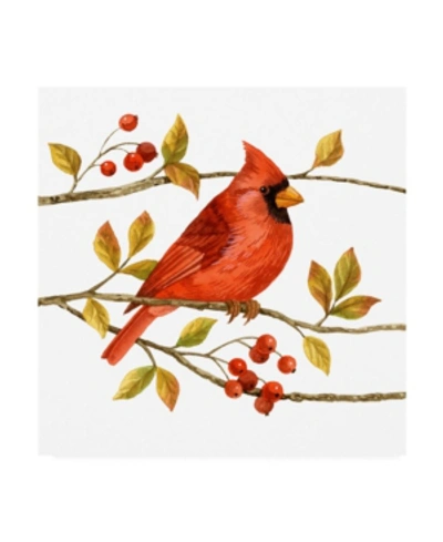 Trademark Global Jane Maday Birds And Berries Iii Canvas Art In Multi