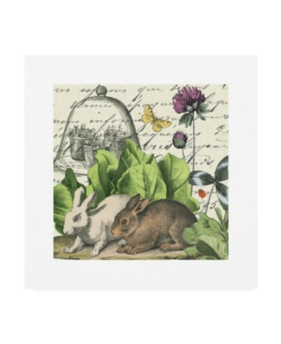 Trademark Global Wild Apple Portfolio Garden Rabbit Ii Canvas Art In Multi