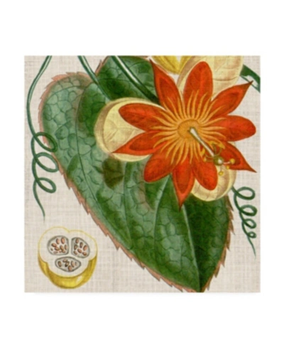 Trademark Global Vision Studio Cropped Turpin Tropicals I Canvas Art In Multi