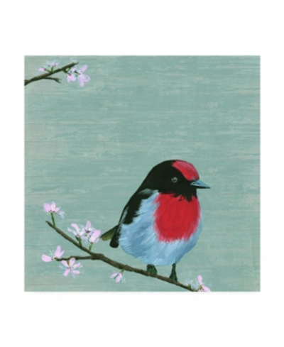 Trademark Global Melissa Wang Bird & Blossoms Iv Canvas Art In Multi