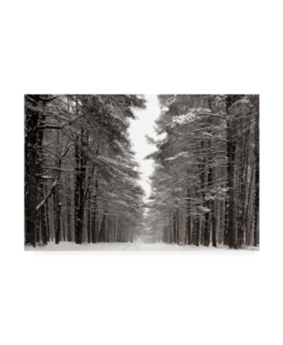 Trademark Global James Mcloughlin A Snowy Walk Iv Canvas Art In Multi