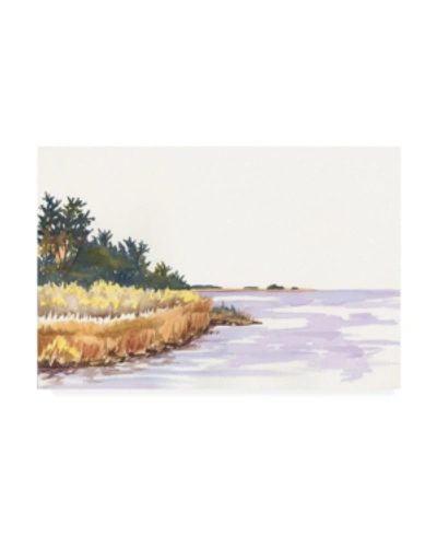 Trademark Global Dianne Miller Solitary Coastline Iv Canvas Art In Multi