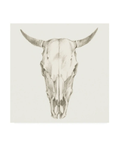 Trademark Global Ethan Harper Western Skull Mount I Canvas Art In Multi