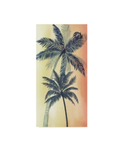 Trademark Global Grace Popp Vintage Palms Ii Canvas Art In Multi