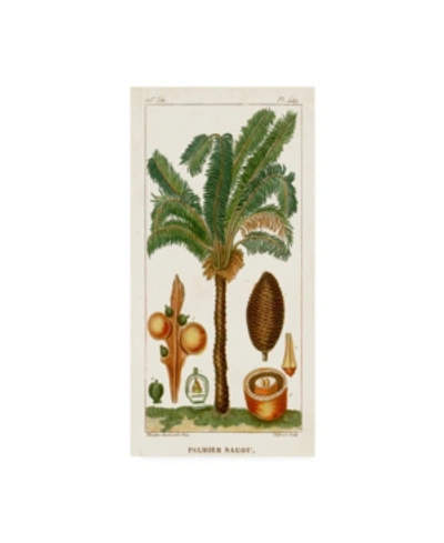 Trademark Global Turpin Turpin Exotic Palms Vii Canvas Art In Multi