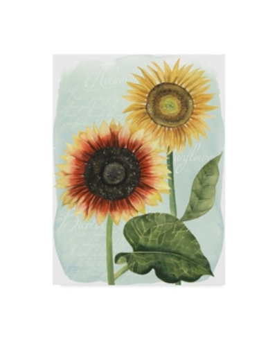 Trademark Global Grace Popp Sunflower Study I Canvas Art In Multi