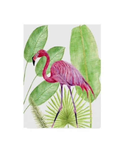 Trademark Global Melissa Wang Tropical Flamingo I Canvas Art In Multi