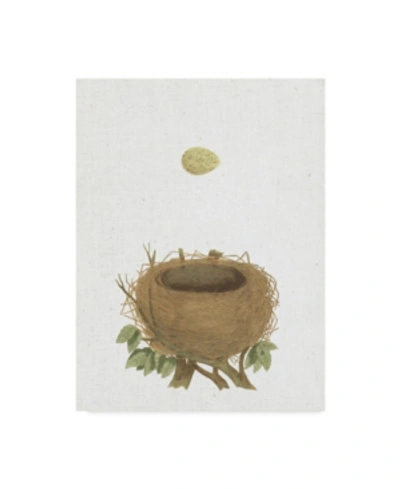 Trademark Global Wild Apple Portfolio Spring Nest Ii Crop Canvas Art In Multi