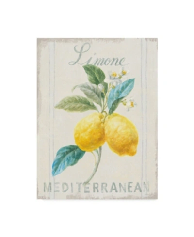 Trademark Global Danhui Nai Floursack Lemon Iii Canvas Art In Multi
