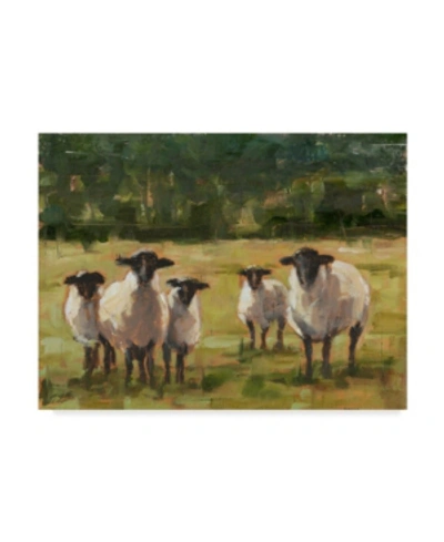 Trademark Global Ethan Harper Sheep Family I Canvas Art In Multi