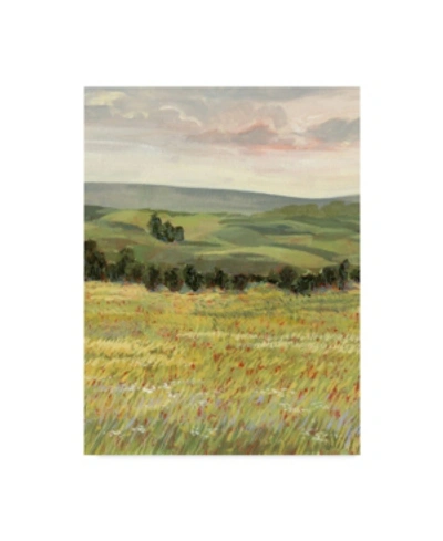 Trademark Global Victoria Borges Morning Meadow I Canvas Art In Multi
