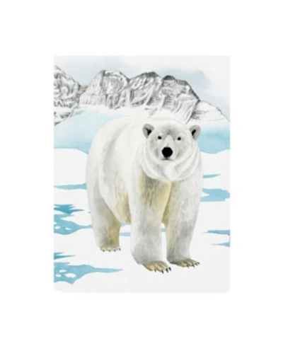 Trademark Global Grace Popp Arctic Animal Ii Canvas Art In Multi