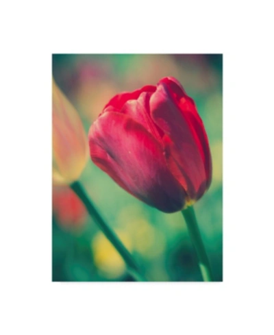 Trademark Global Sonja Quintero Tulip Sway Ii Canvas Art In Multi