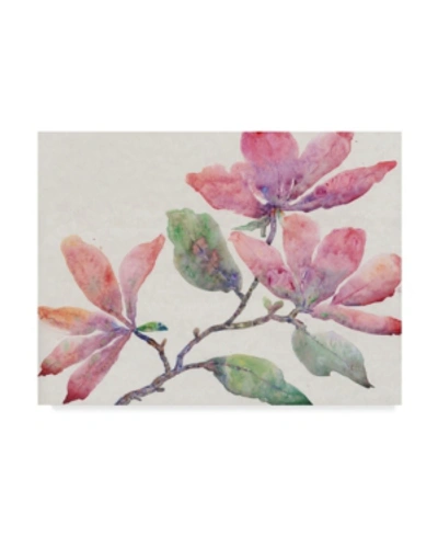 Trademark Global Tim Otoole Flowering Branch I Canvas Art In Multi