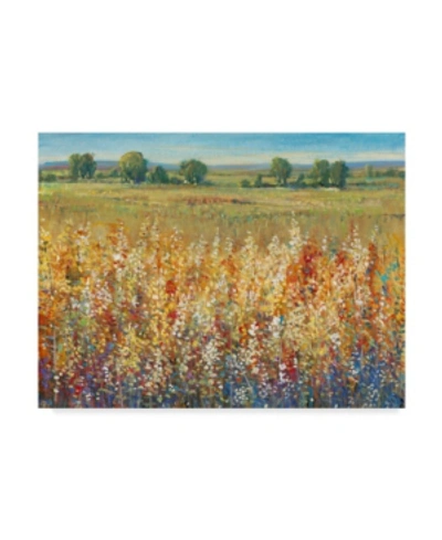 Trademark Global Tim Otoole Gold And Red Field I Canvas Art In Multi