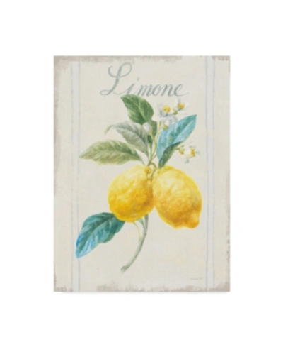 Trademark Global Danhui Nai Floursack Lemon Iii V2 Canvas Art In Multi