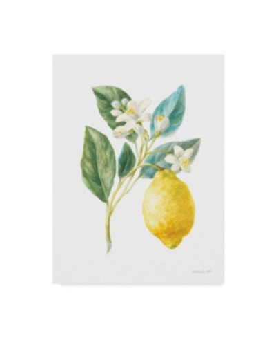 Trademark Global Danhui Nai Floursack Lemon I On White Canvas Art In Multi