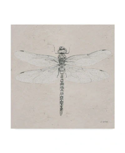 Trademark Global James Wiens Soft Summer Sketches Vi Canvas Art In Multi